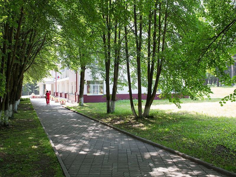 Кедровый бор