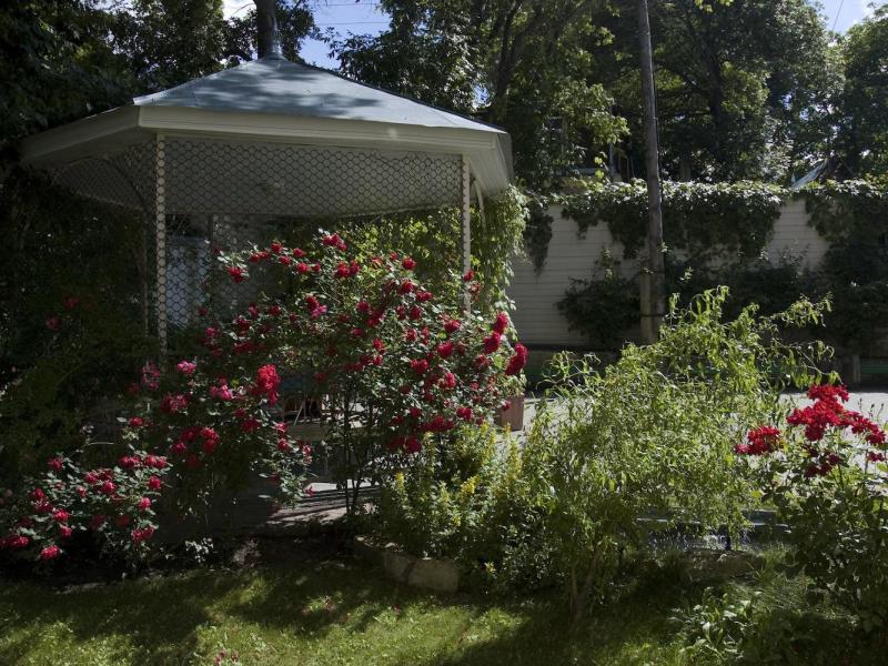 Санаторий Колос