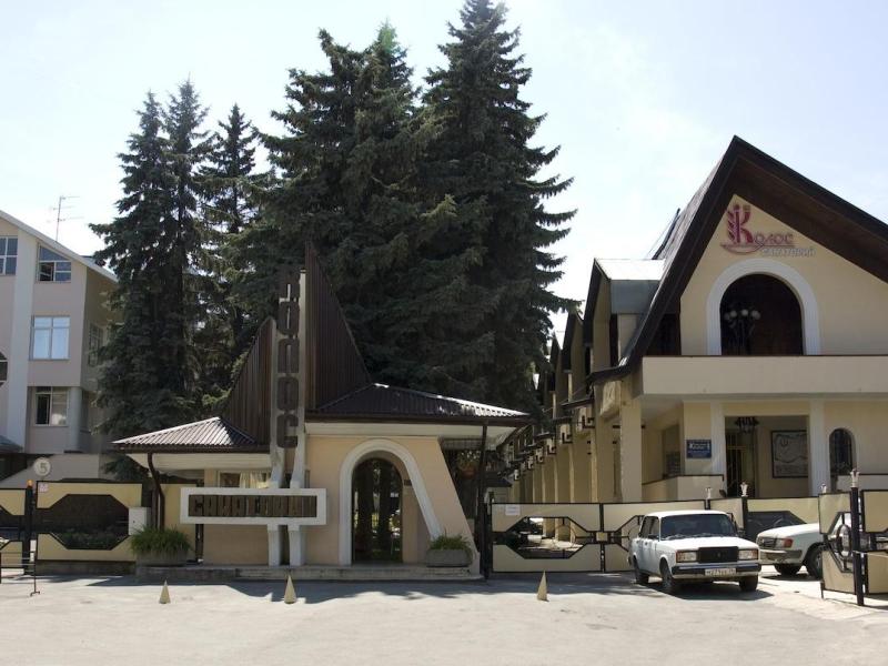 Санаторий Колос