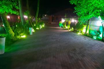 Отель Duglas Абхазия, Пицунда, фото 17