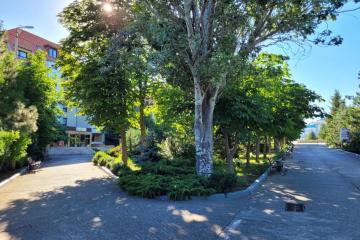 Отель Приморье Россия, Коктебель, фото 8