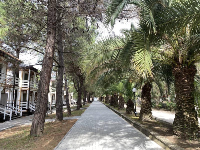 Золотые пески