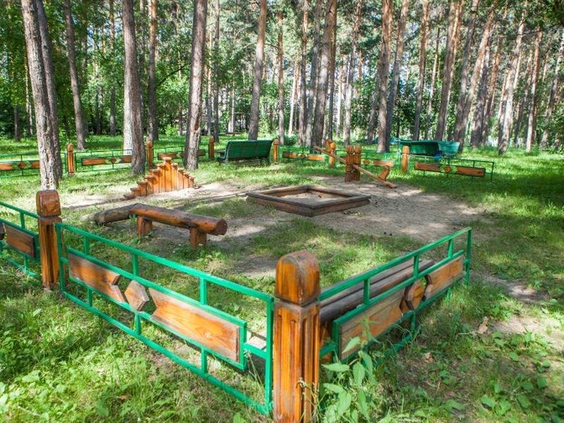 Лесная сказка