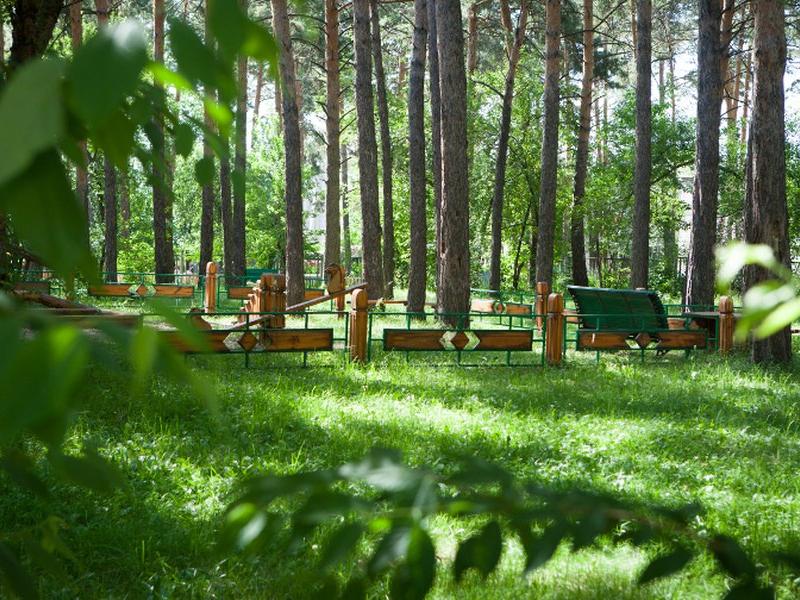 Лесная сказка