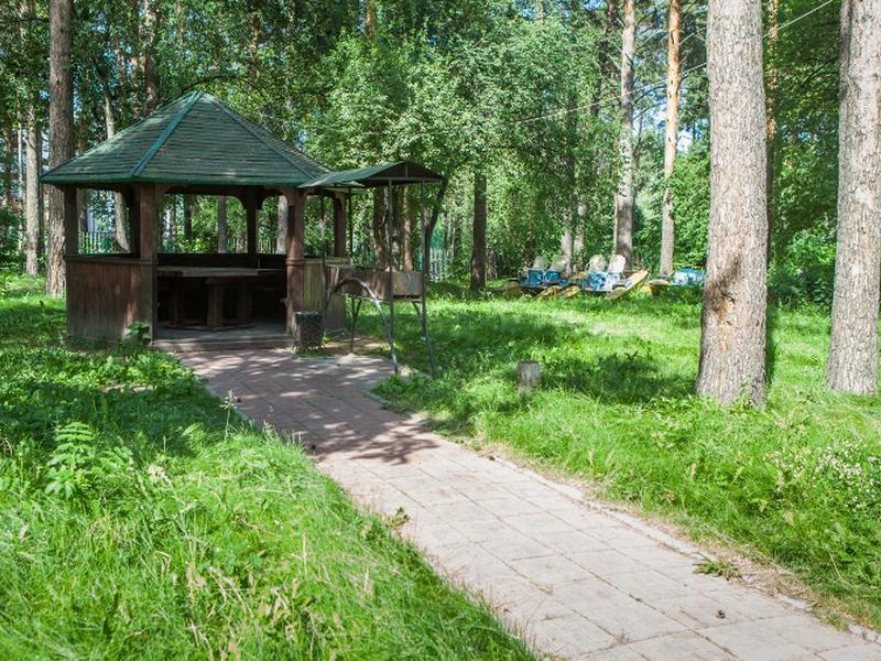 Лесная сказка
