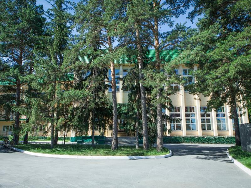Лесная сказка