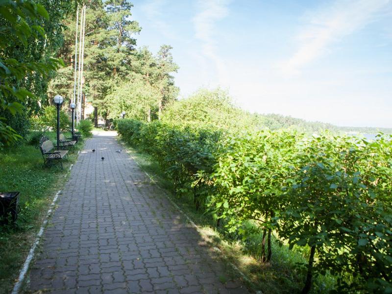 Лесная сказка