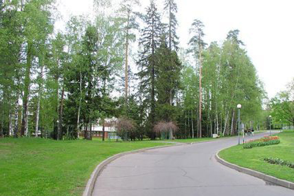 Лесные дали