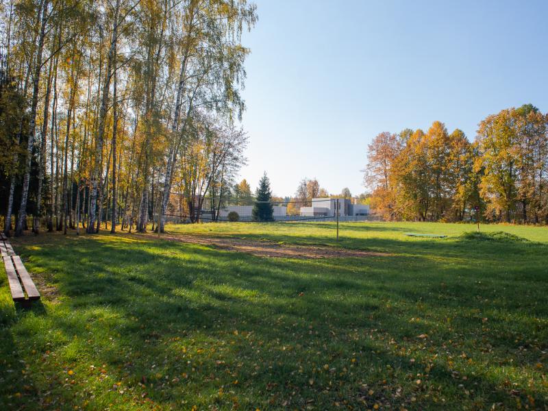 Лесные поляны