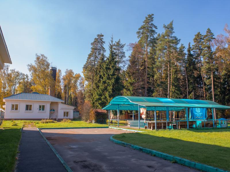 Лесные поляны