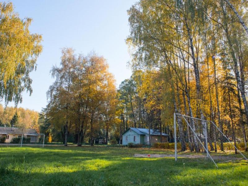 Лесные поляны