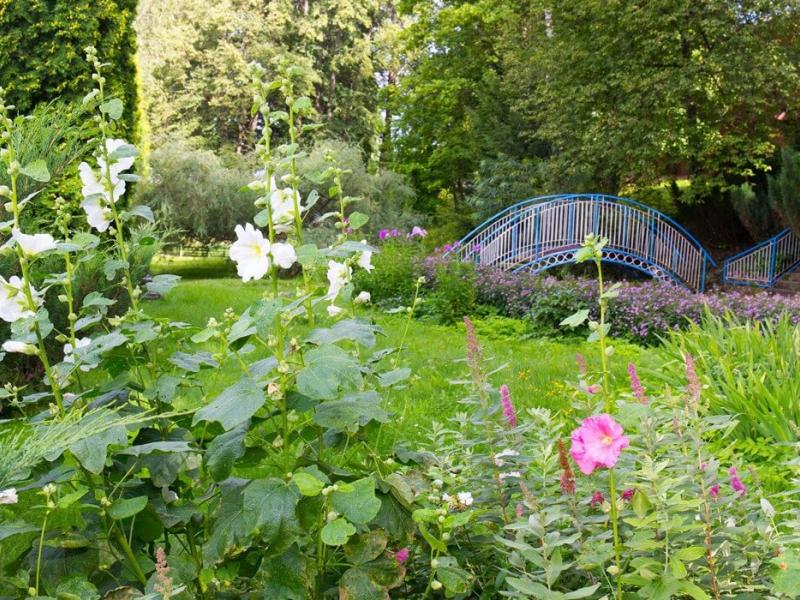 Литвиново санаторий