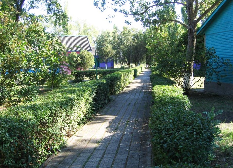 Лотос