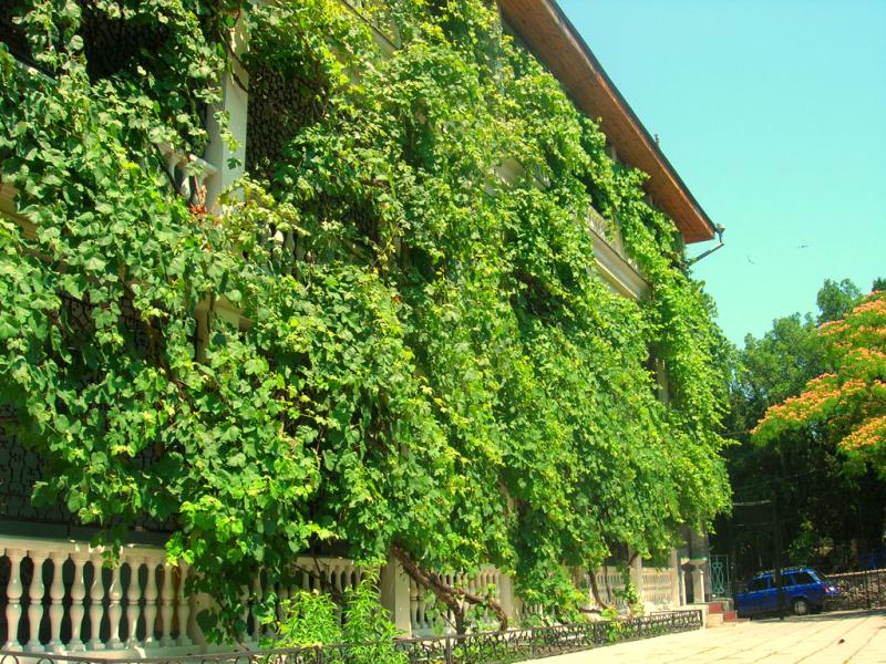 Пансионат Малахит