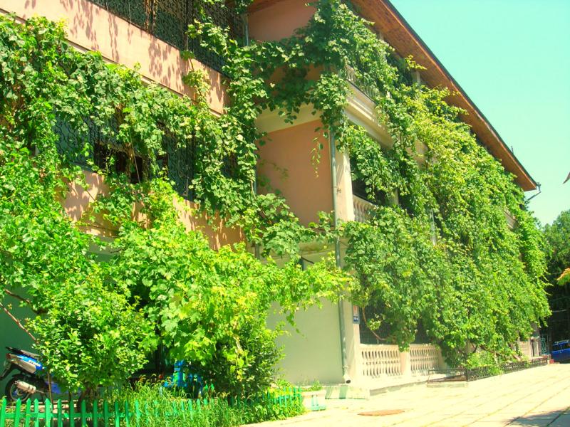 Пансионат Малахит