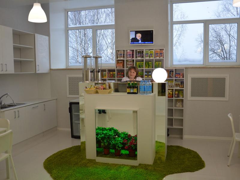 Марциальные воды