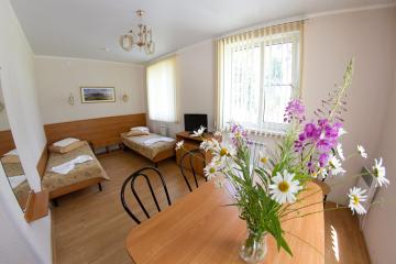 Отель Марциальные воды Россия, Карелия, фото 18