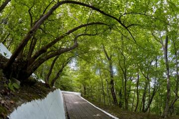 Отель Маяк пансионат (Шепси) Россия, Туапсе, фото 11