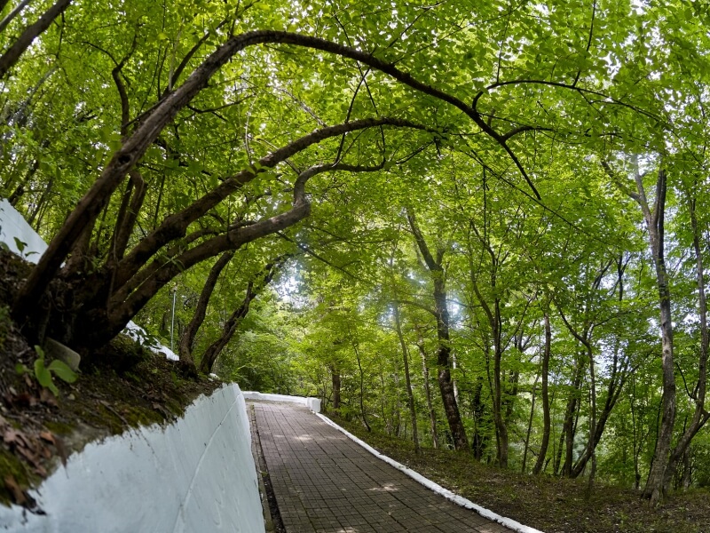 Маяк пансионат (Шепси)