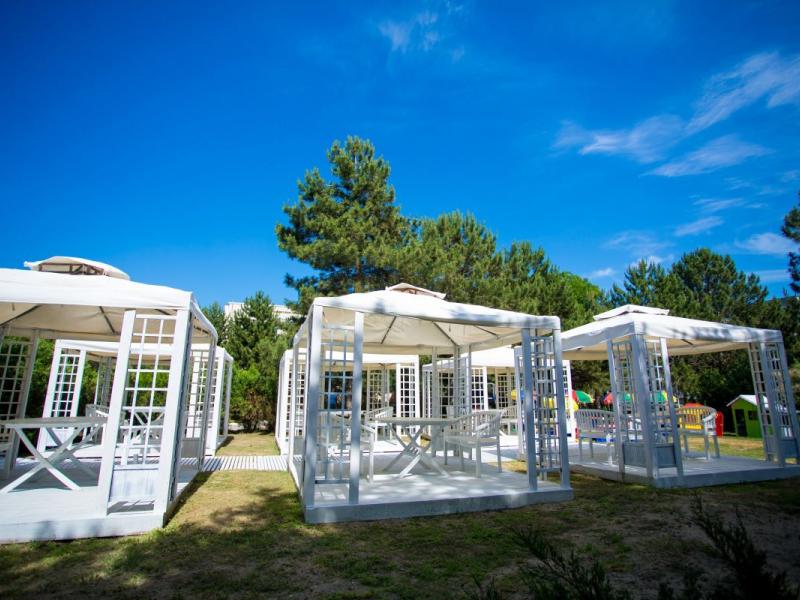 Ателика Мечта