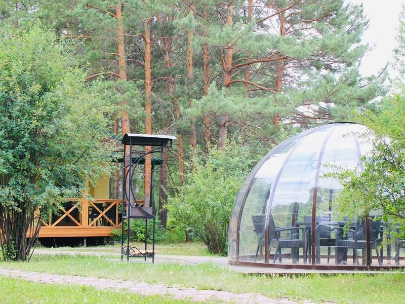 Мечта (Чернолучинский)