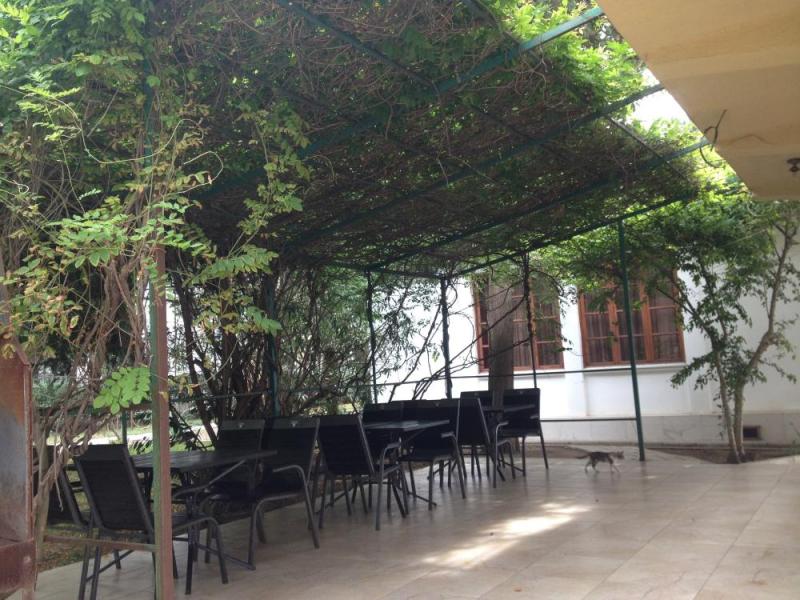 Мидель-Гагра