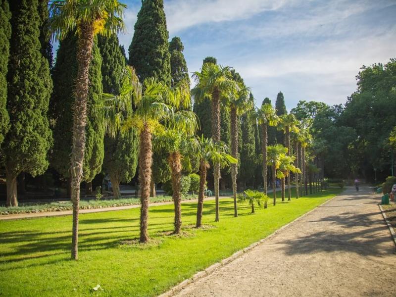 Мисхор санаторий