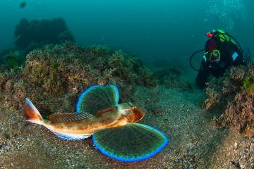 Отель Мрия Россия, Ялта, фото 108