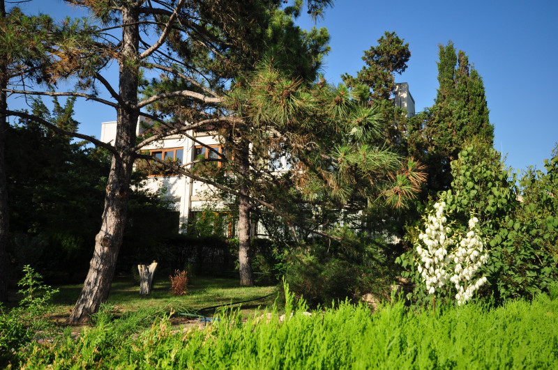 Санаторий Мечта