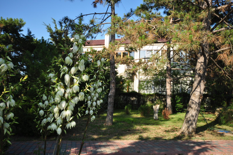 Санаторий Мечта