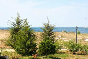 Отель Мыс Россия, Севастополь, фото 45