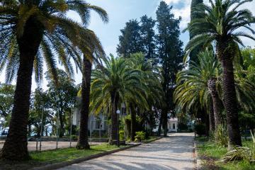 Отель Пансионат Нарт Абхазия, Гагра, фото 16
