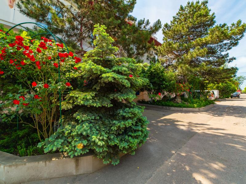 Пансионат Нива