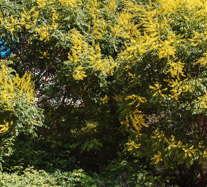 Pontos Family Resort Zarya