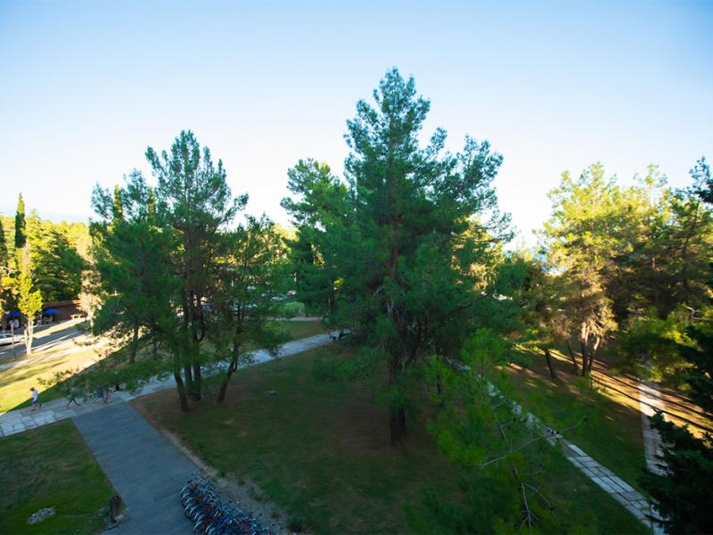 Объединение пансионатов курорт Пицунда