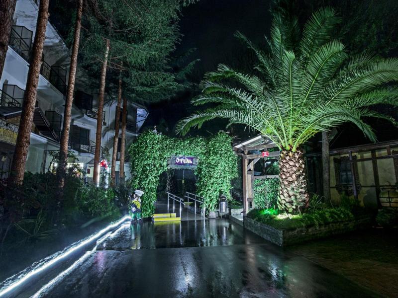 Олеся Отель