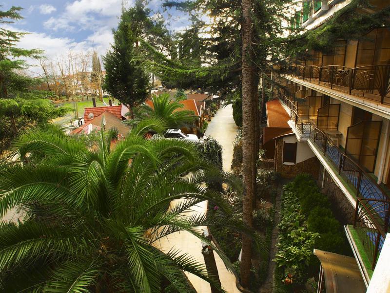 Олеся Отель