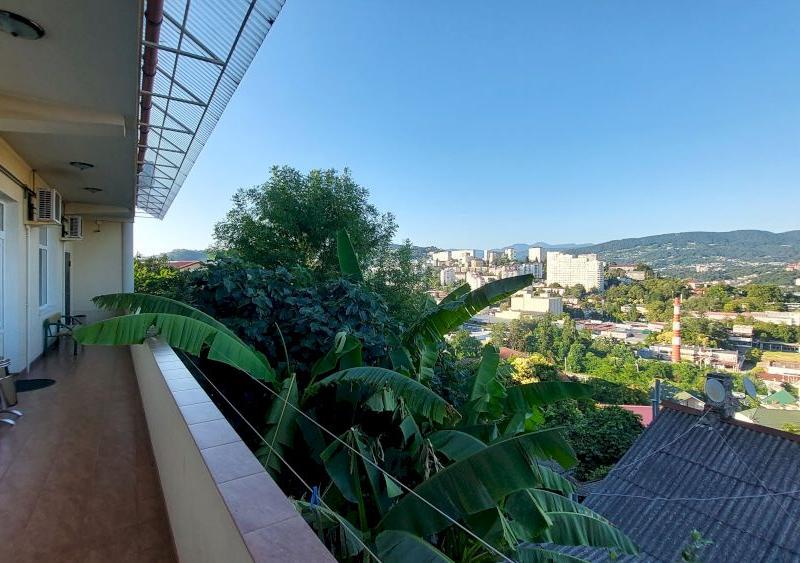 Олимп Виноградная