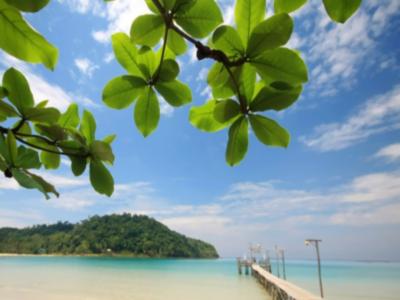 Beach Natural Resort
