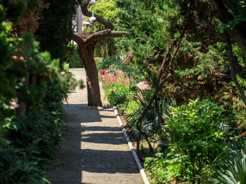 Отель Омега-Клуб