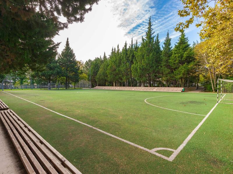 Орбита (Ольгинка)