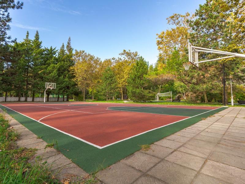 Орбита (Ольгинка)