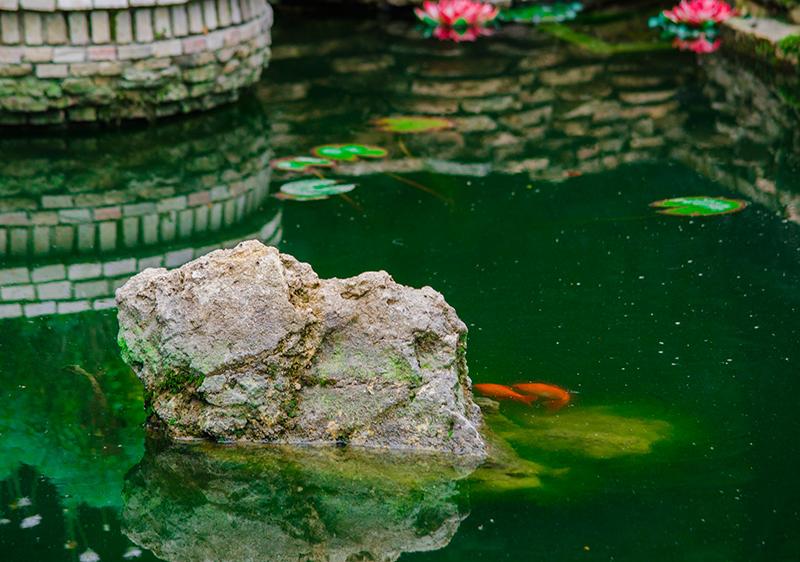 Ореховая роща (Гуамка)