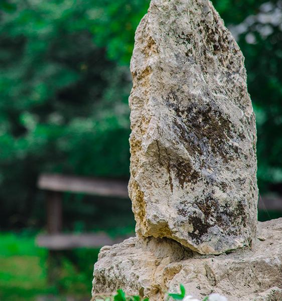 Ореховая роща (Гуамка)