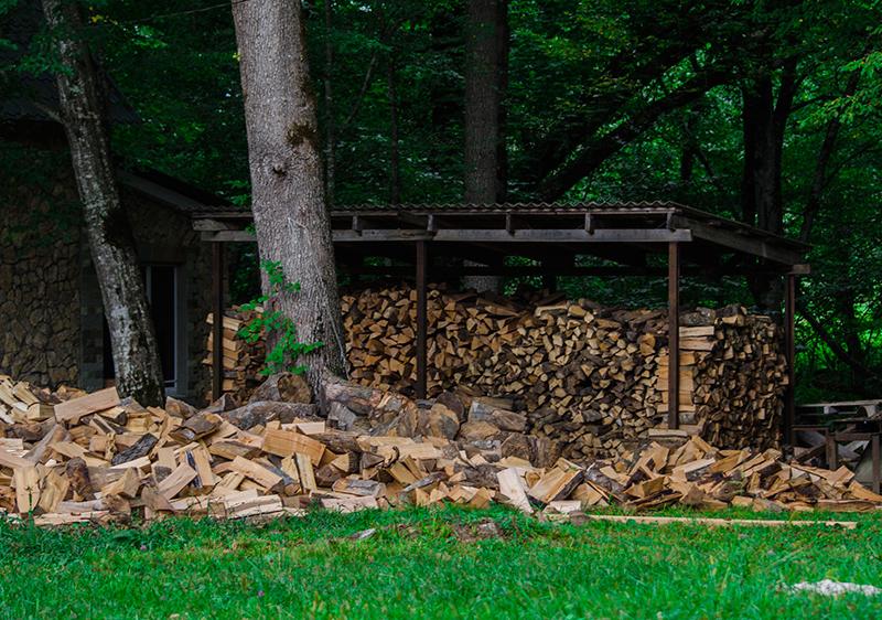 Ореховая роща (Гуамка)