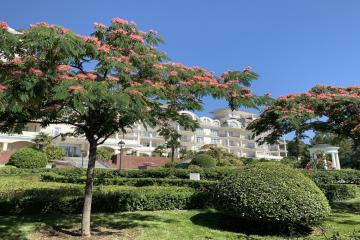 Отель Palmira Palace Resort & Spa Россия, Ялта, фото 42