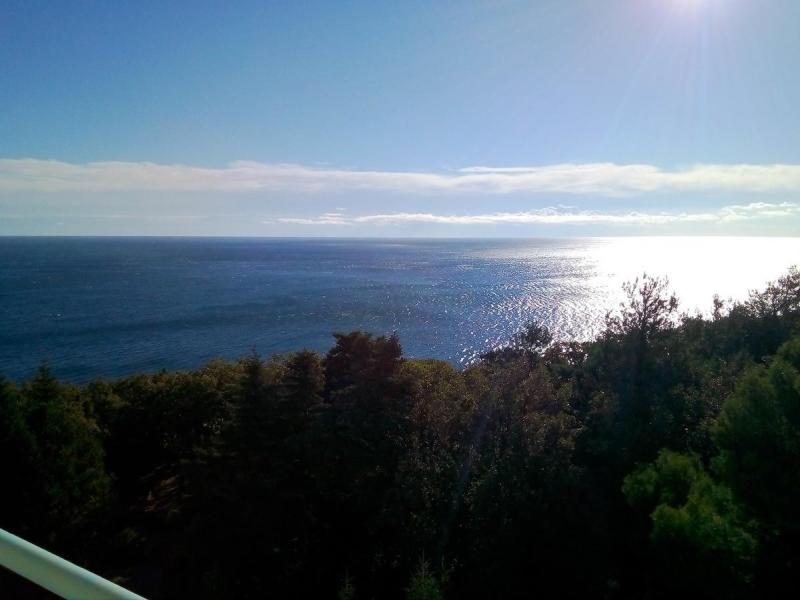 Санаторий Парус