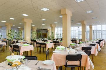 Отель Пикет санаторий Россия, Кисловодск, фото 31