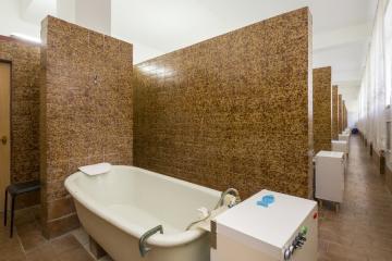 Отель Пикет санаторий Россия, Кисловодск, фото 34