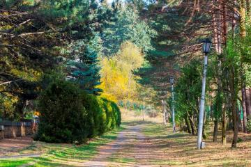 Отель Пикет санаторий Россия, Кисловодск, фото 4